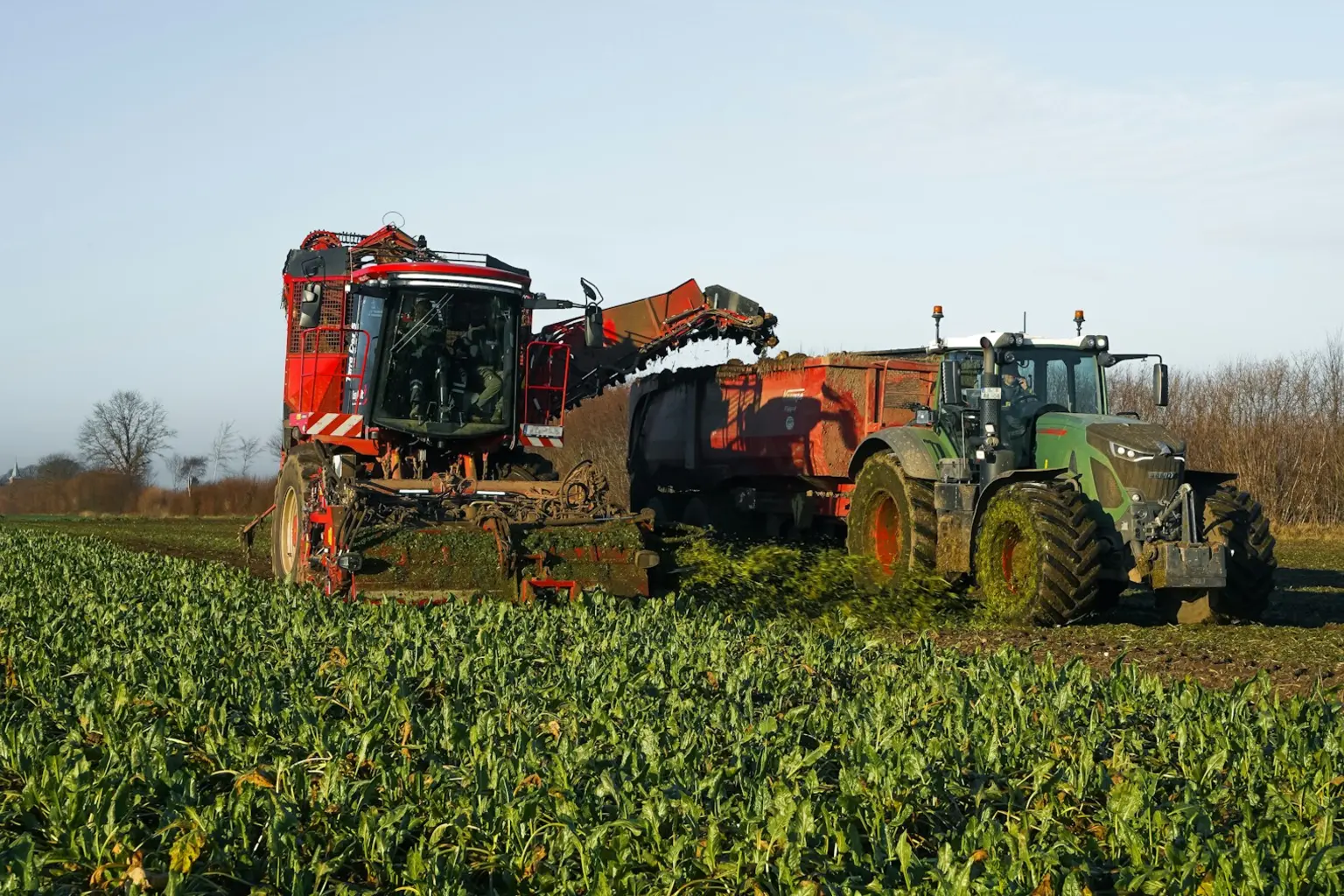 Agriculture opportunity and operating landscape